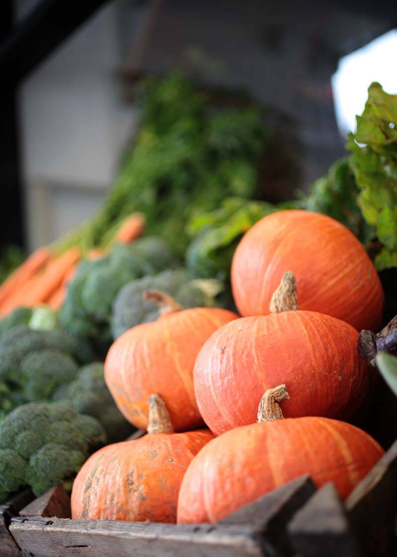 food-coop-10